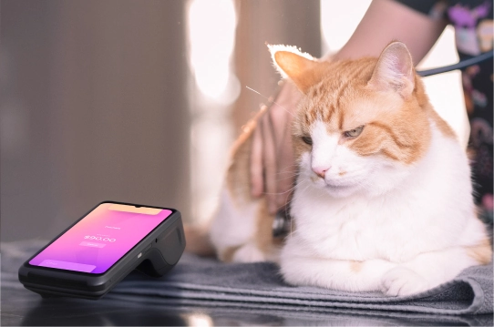 Cat beside a payment terminal at a reception counter